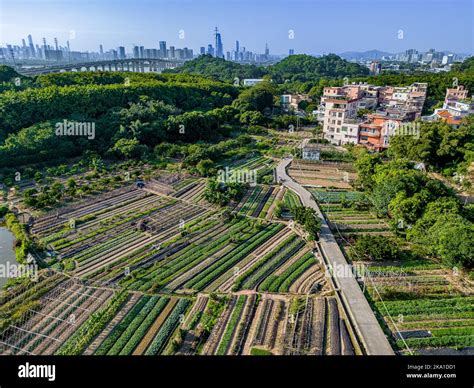 nankou village guangdong.